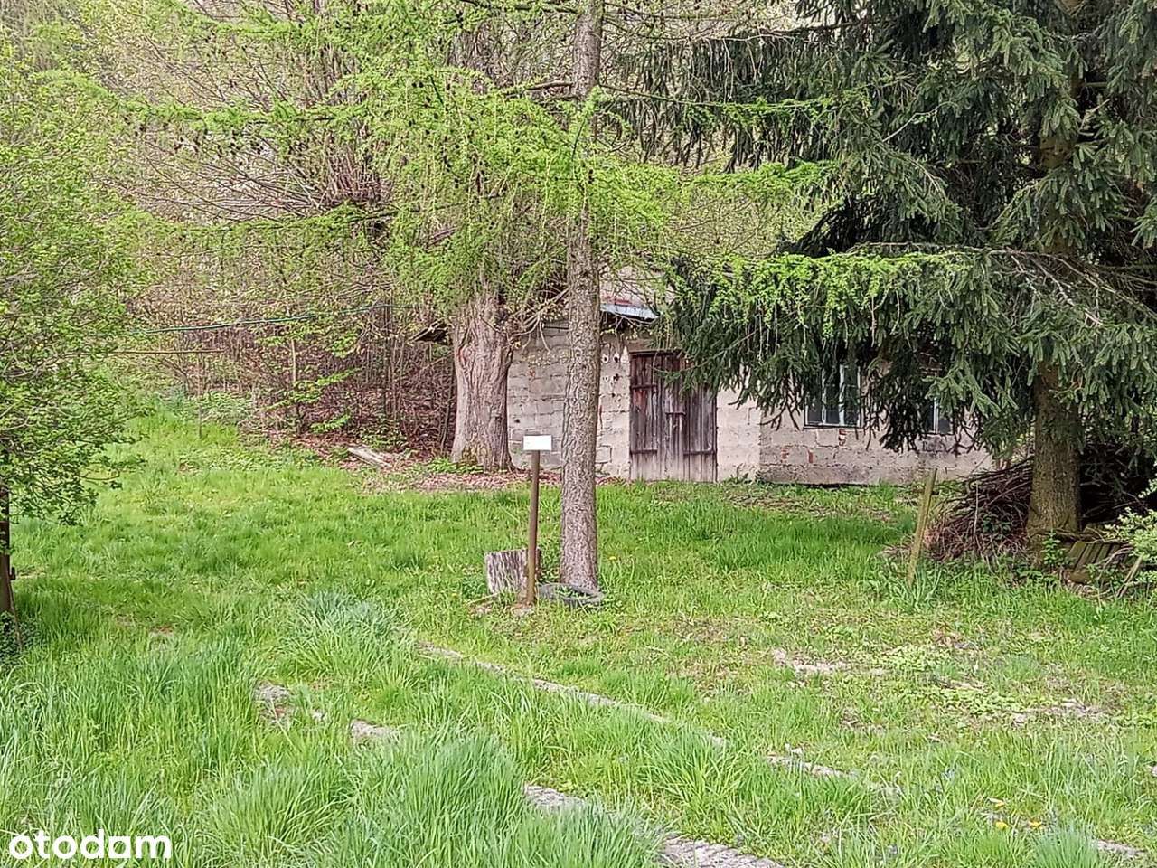 Magiczne siedlisko z lasem, rzeczką i historią-18