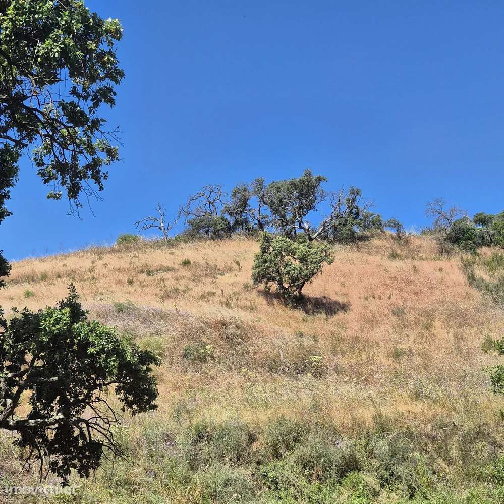 Terreno Rústico em Montes e Lagares - Grande imagem: 5/9