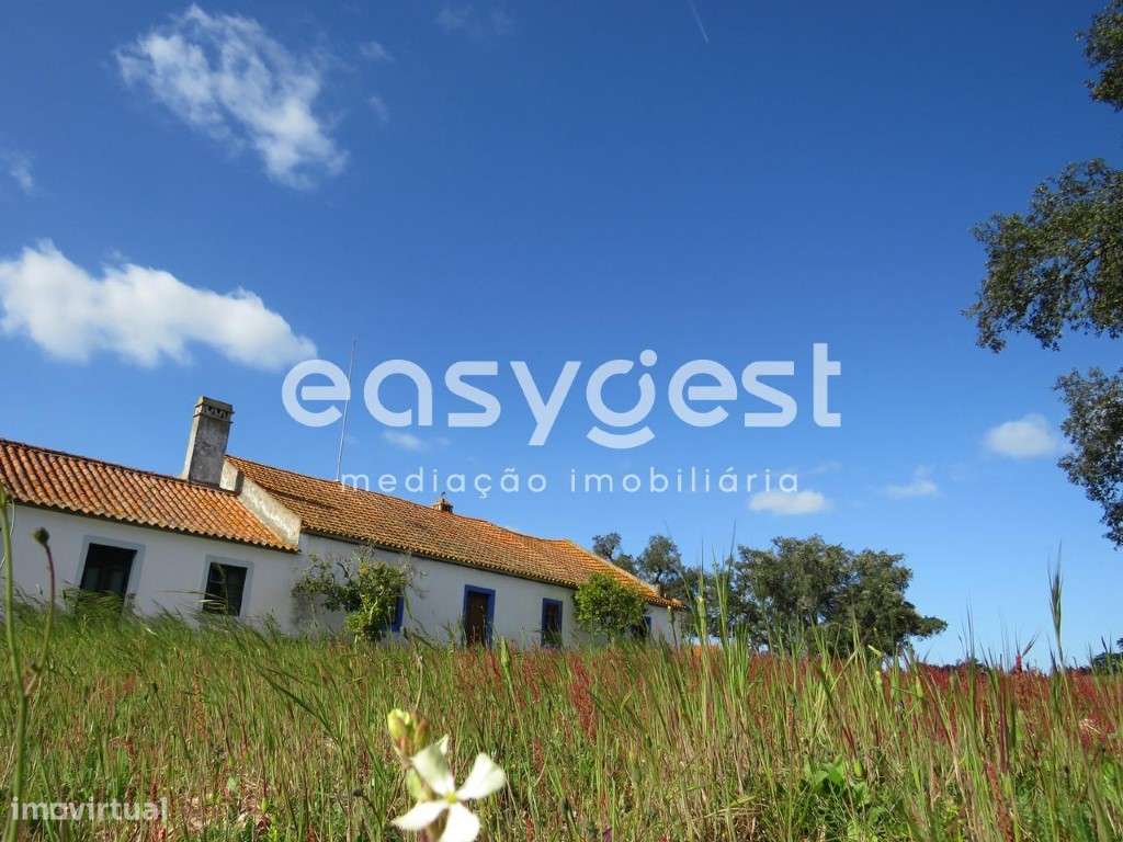 Exclusivo Herdade 92 ha com potencial turístico - Grande imagem: 5/28