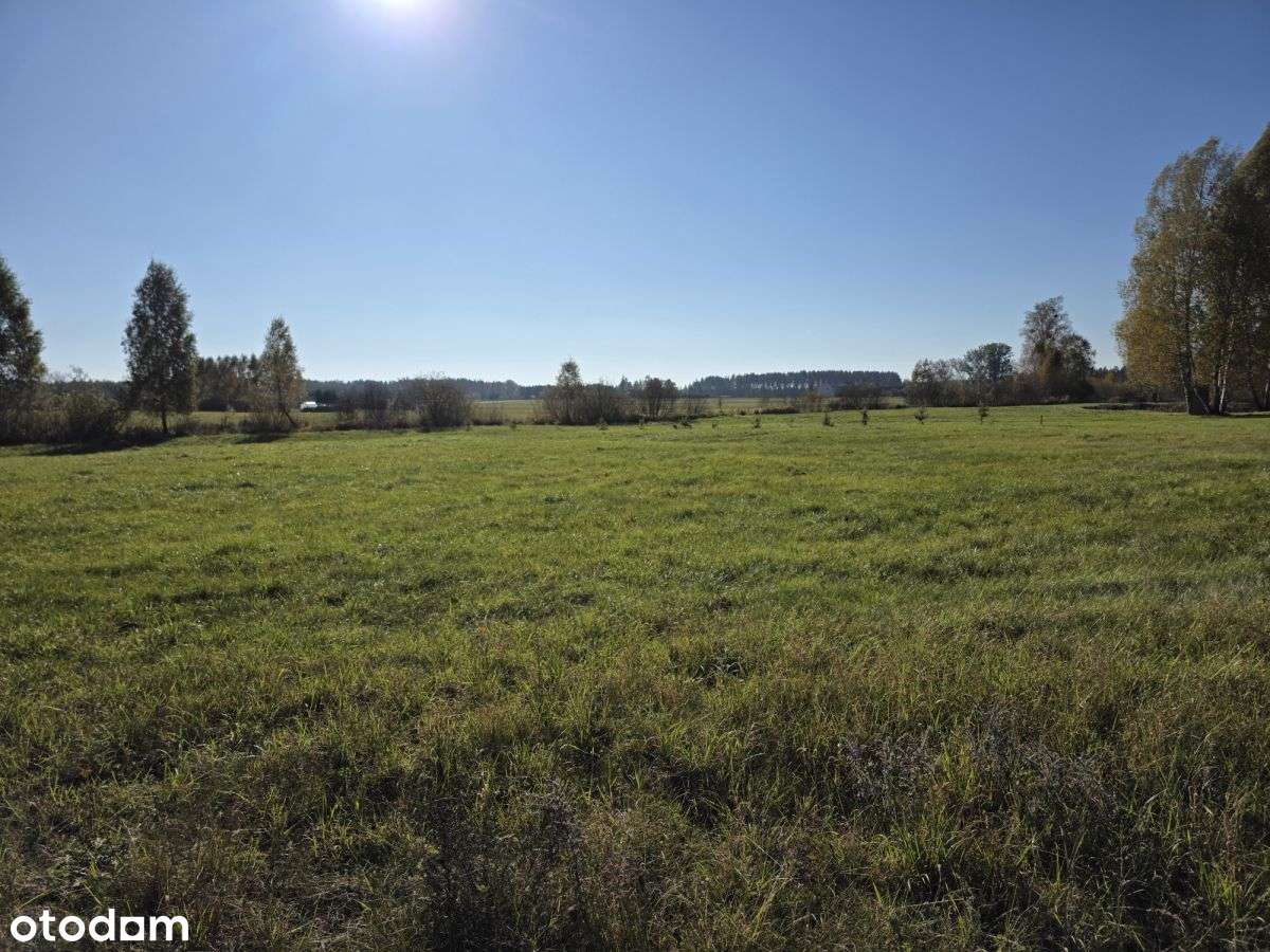 Działka Budowlana, Walne, Gmina Nowinka, - Pełny obrazek: 4/9