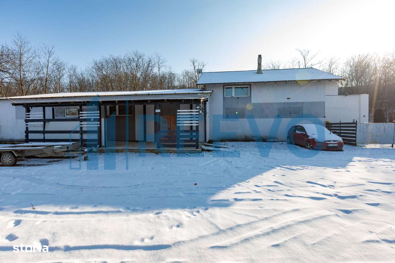 Proprietate cu casa si spatiu comercial+teren 4060 mp Bahna - Imagine principală: 5/20