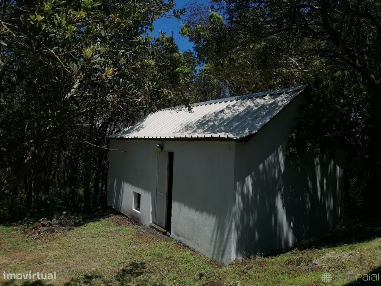 Moradia na canada das adegas no Capelo-5