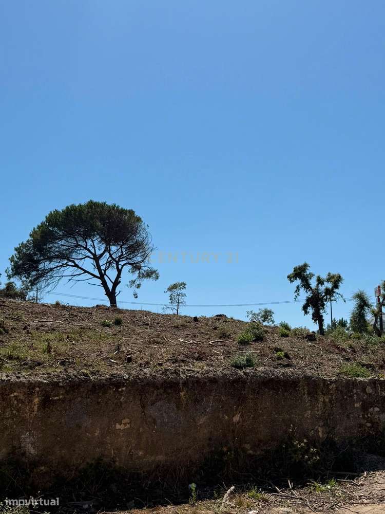 Terreno para Loteamento em Algueirão – Sintra-5