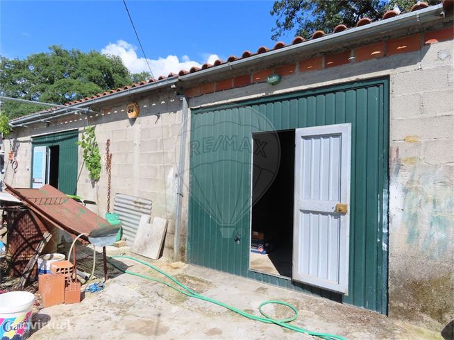 Quinta  para venda-31