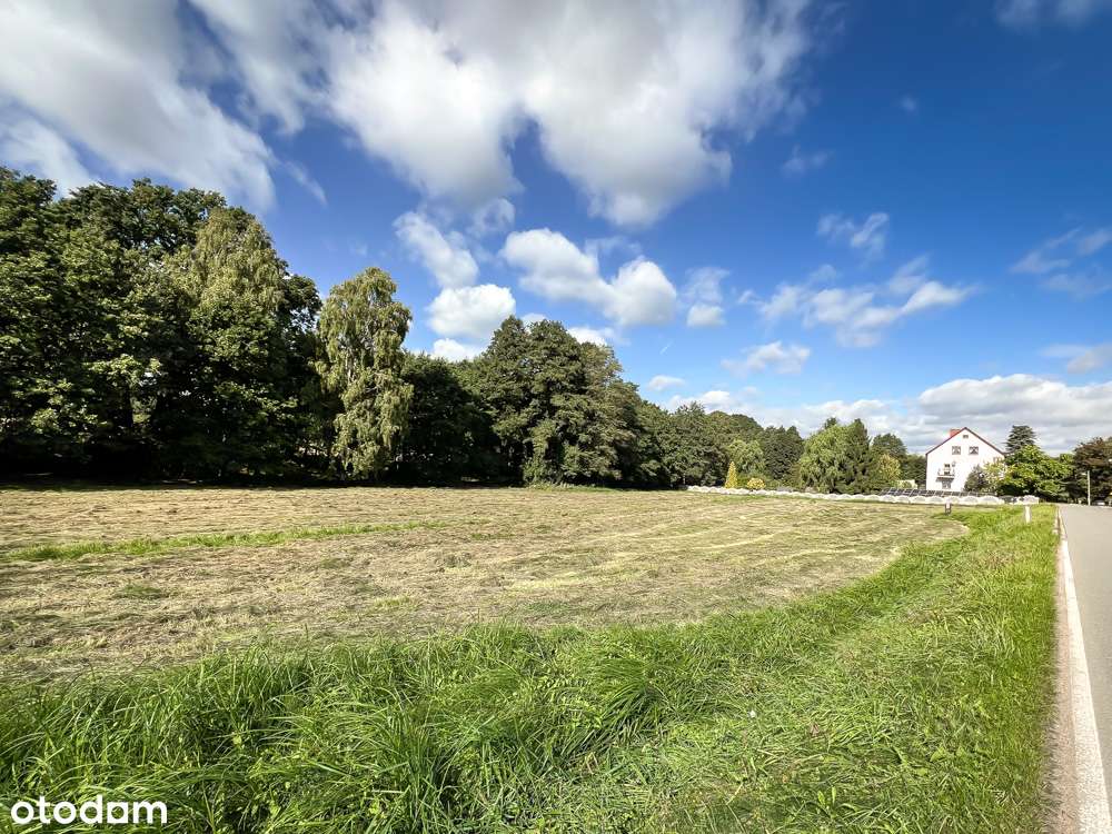 Twoje miejsce blisko natury – z potencjałem pod dom lub biznes!​ - Pełny obrazek: 4/8