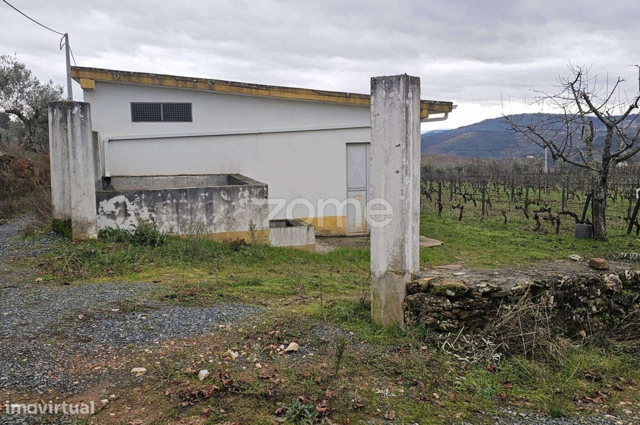 Terreno Agrícola – 22.800 m² – Vilar de Maçada, Alijó-10