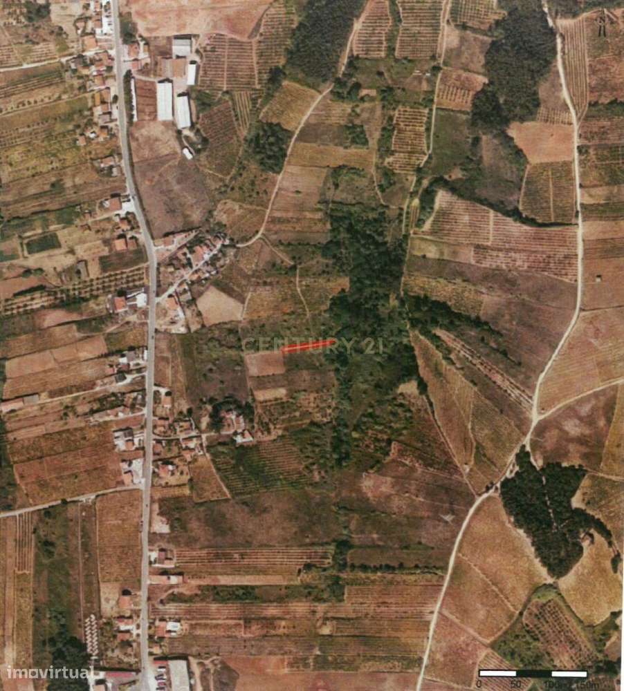 Terrenos em Painho/Cadaval -  Oportunidade de Investimento para agricu - Grande imagem: 5/8