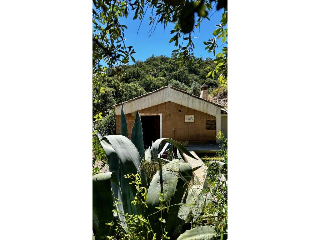 CASAS de CAMPO (3 Prédios)-52