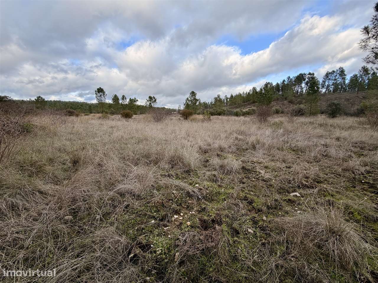 Quinta T0 Venda em Sarzedas,Castelo Branco-16
