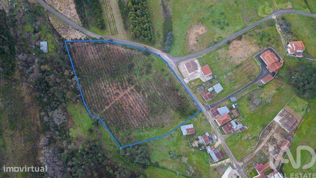 Terreno Agrícola em Soure de 12000,00 m2 - Grande imagem: 1/15