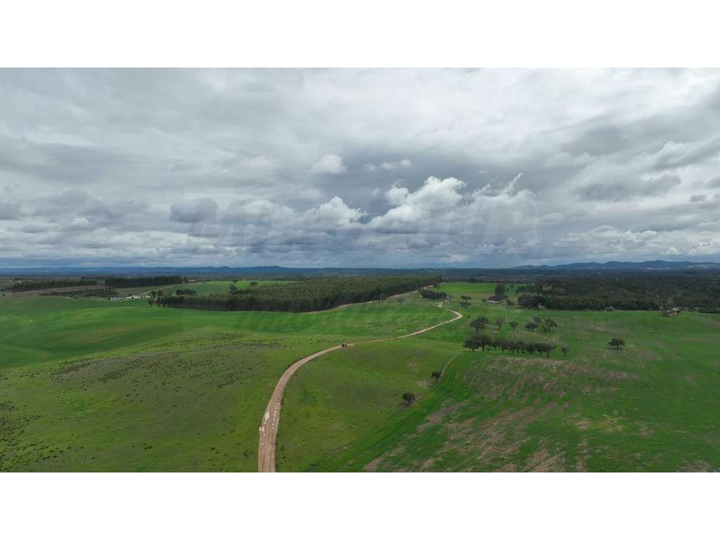 Quinta em excelente localização-2