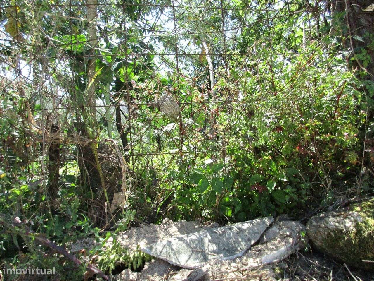 Terreno Urbano Ermesinde Centro-5