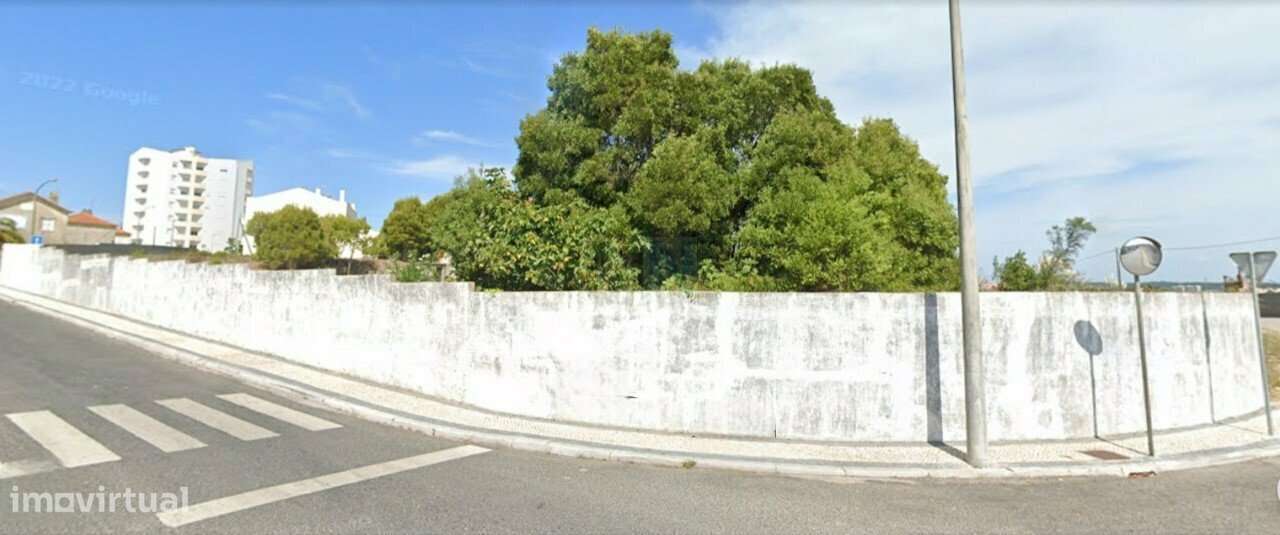 Terreno  c/ 10.000 M2 na Figueira da Foz-7