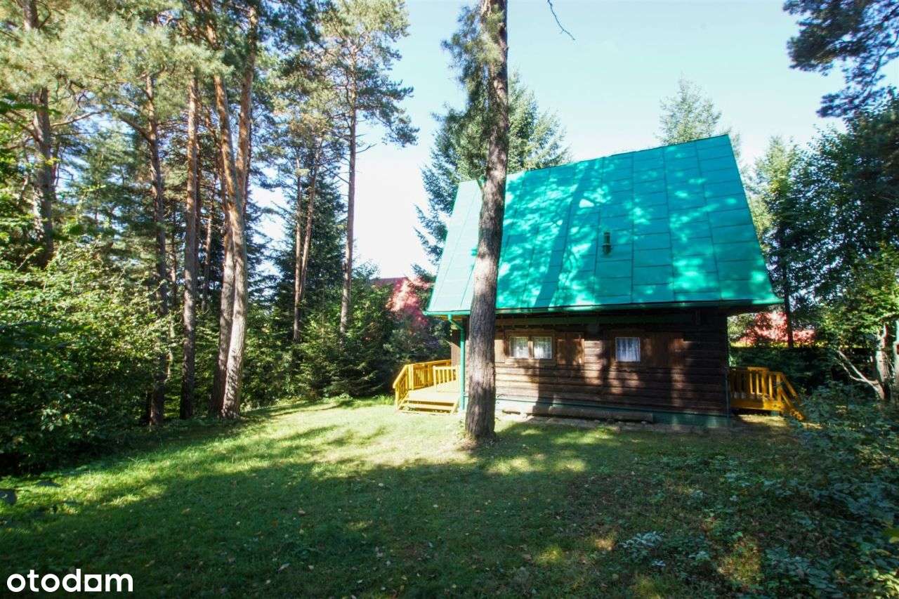 Wiśniowa dom letniskowy w górach, las,strumyk, 53a-5