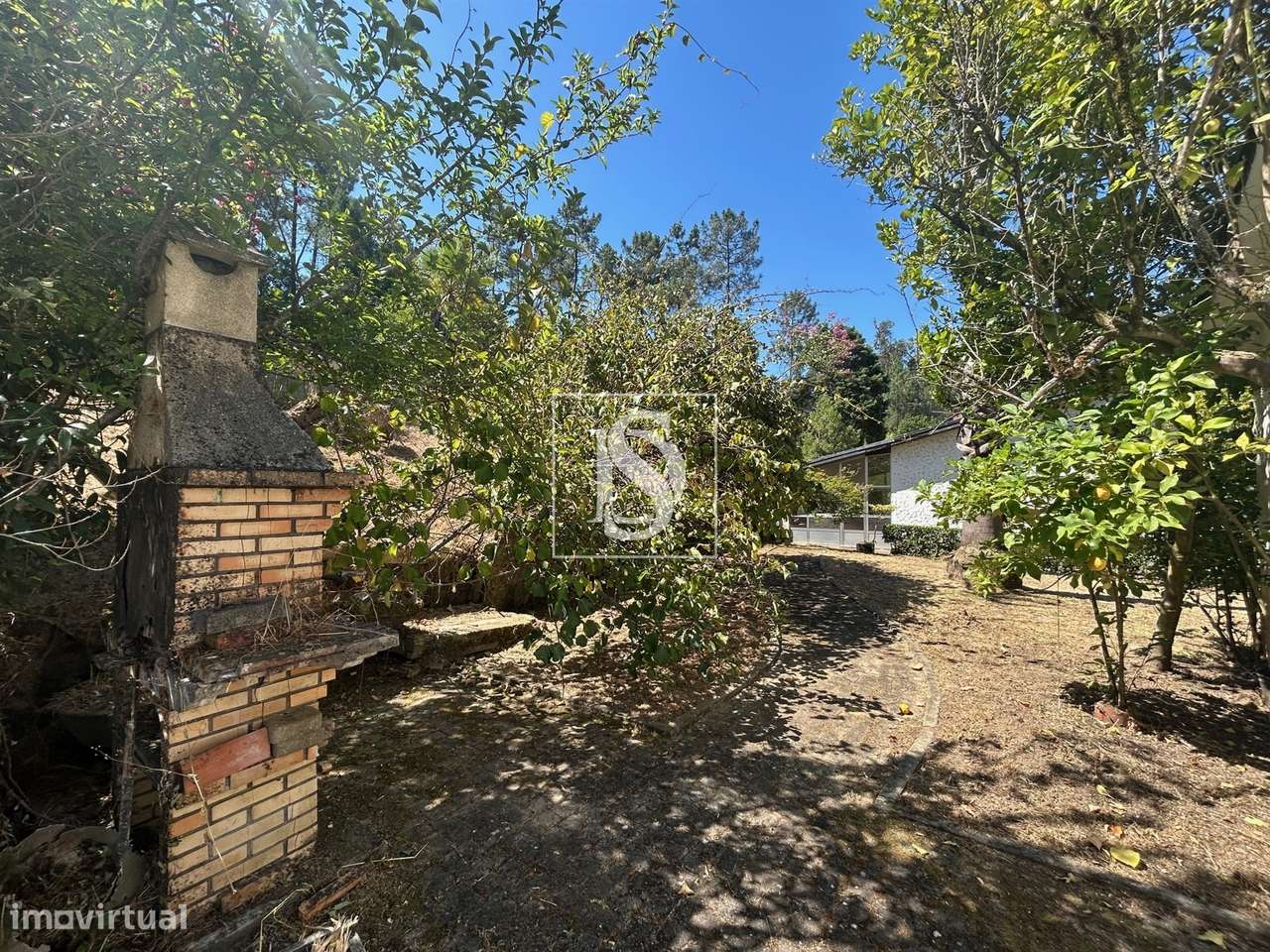 Quinta com 24.300m² em Vale de Açores, Mortágua-53