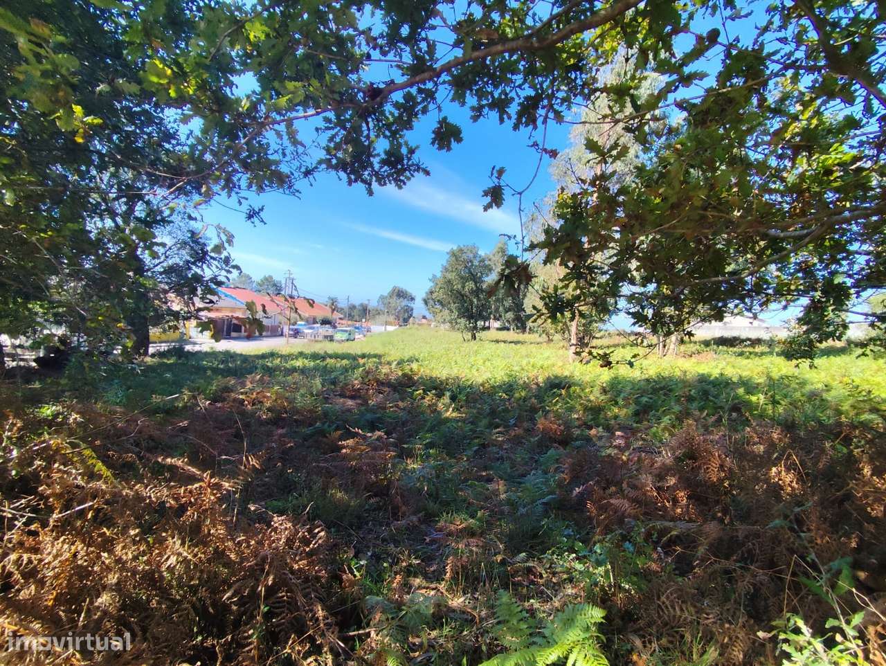 Terreno com PIP APROVADO para 16 Moradias! - Grande imagem: 4/13
