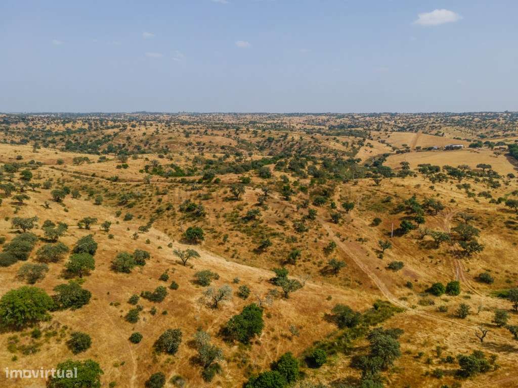 Herdade em Vila Nova de São Bento | 172 hectares - Grande imagem: 4/17