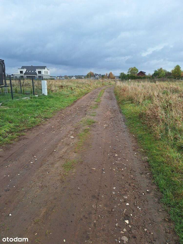 Działka Wolczkowo,1237m2,Decyzja wz, las. - Pełny obrazek: 4/9