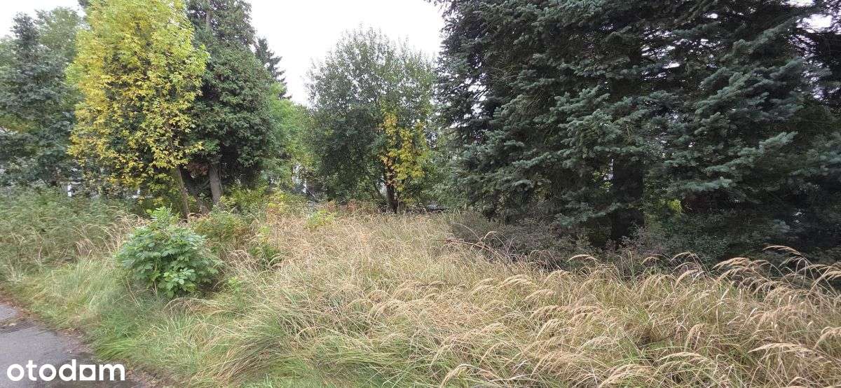 Działka przemysłowa - Katowice, Kostuchna.-2