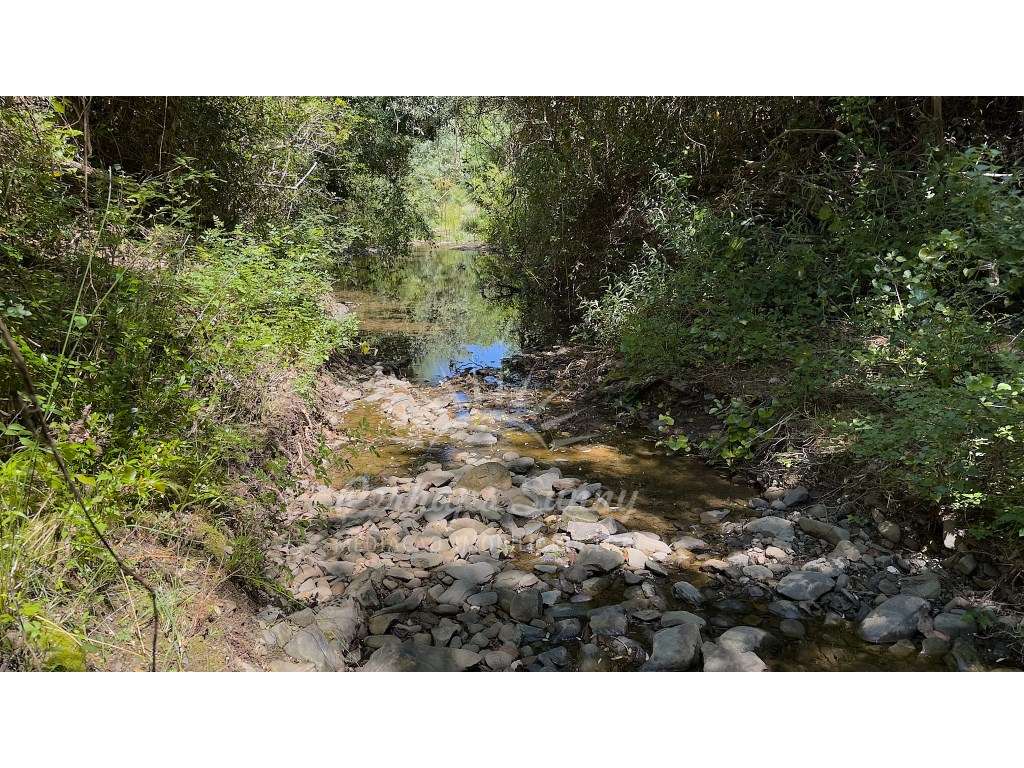 Propriedade Rústica de Montado com Ribeira | 22,6 Hectares | Serra ...-26