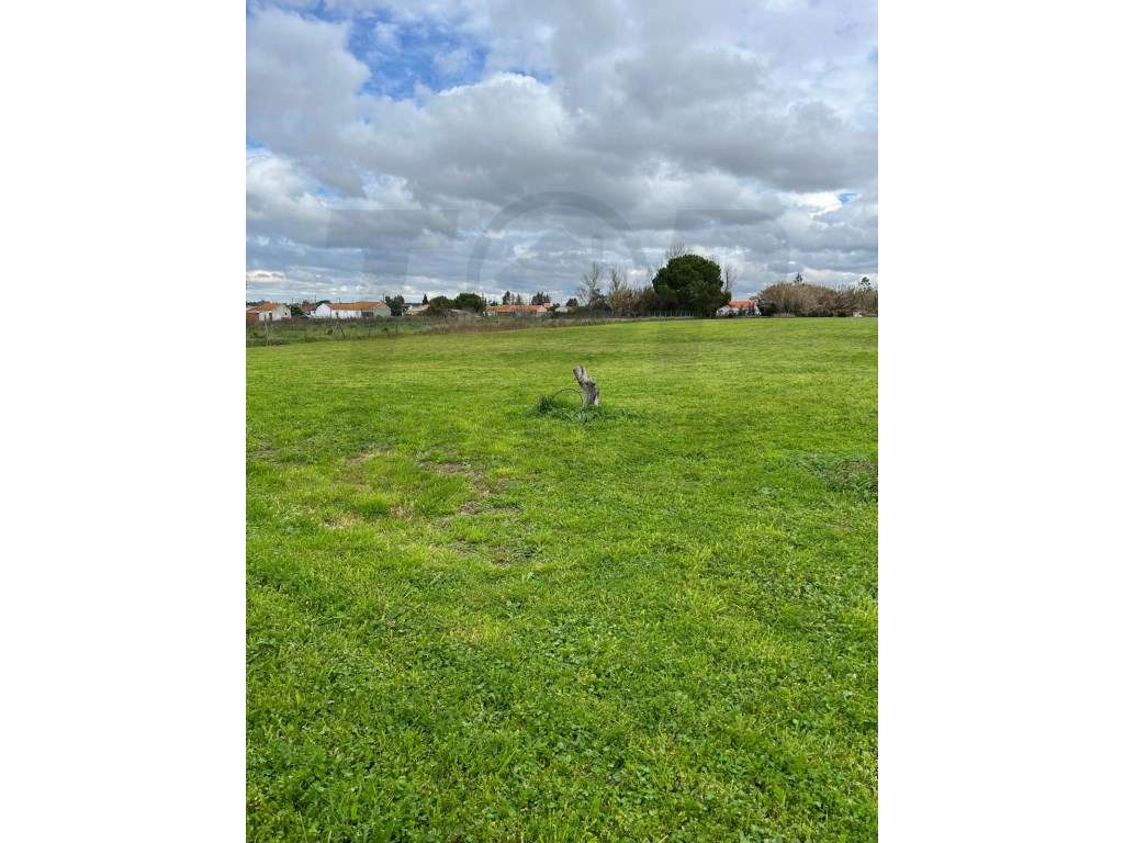 Terreno Urbanizável - Foros de Salvaterra - 100.000€ - Grande imagem: 4/5