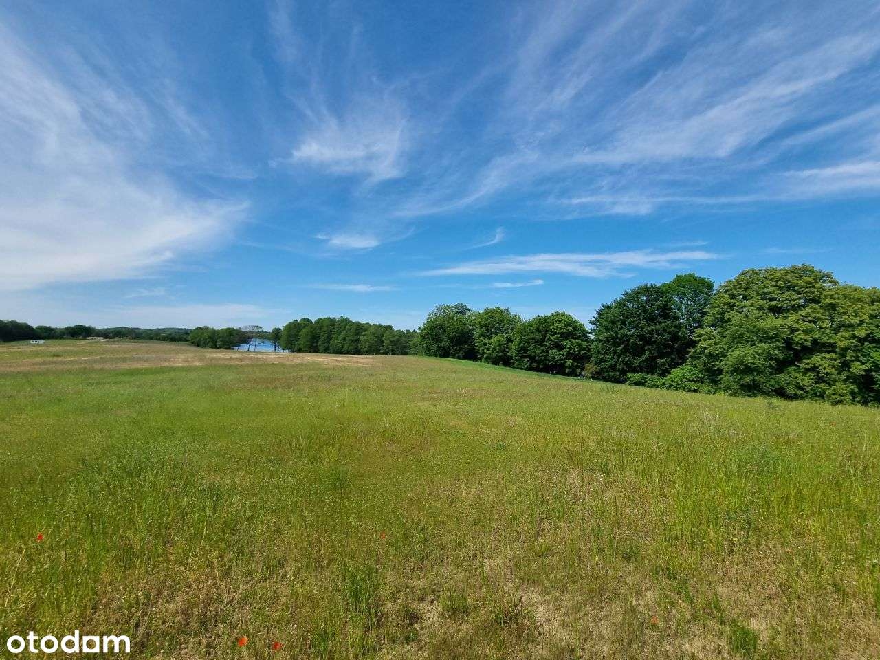 działka rekreacyjna z linią brzegową nad jeziorem-4