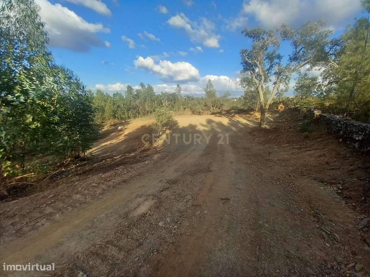 Terreno em Benquerenças, Castelo Branco - 2800m²-8