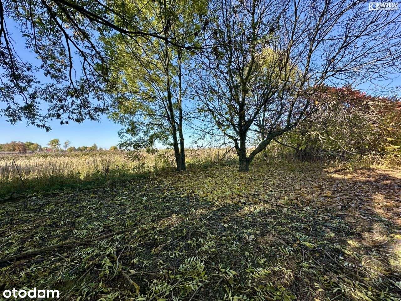 Siedlisko z działką 43 ary- Tomaszowice, gmina Jas - Pełny obrazek: 4/4