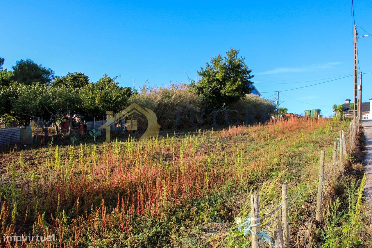 Terreno  Venda em Bombarral e Vale Covo,Bombarral-11