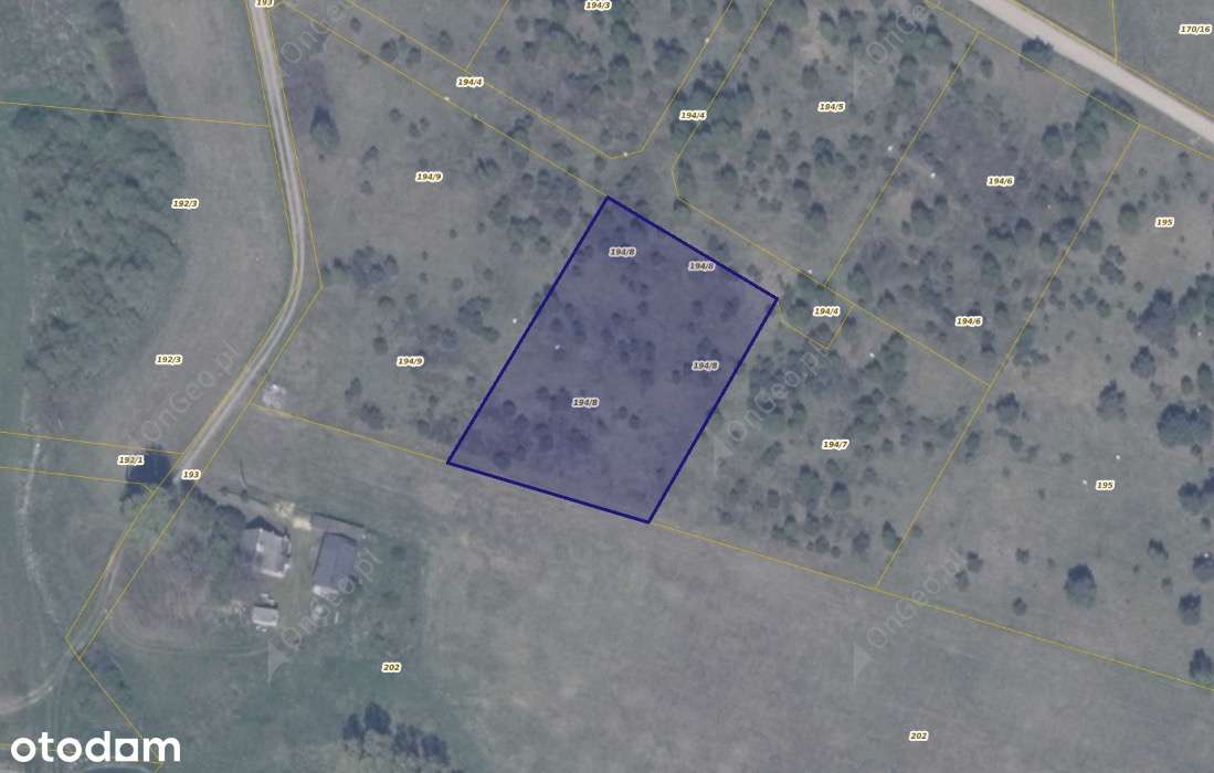 Działka 194/8 w Ełganowie-0