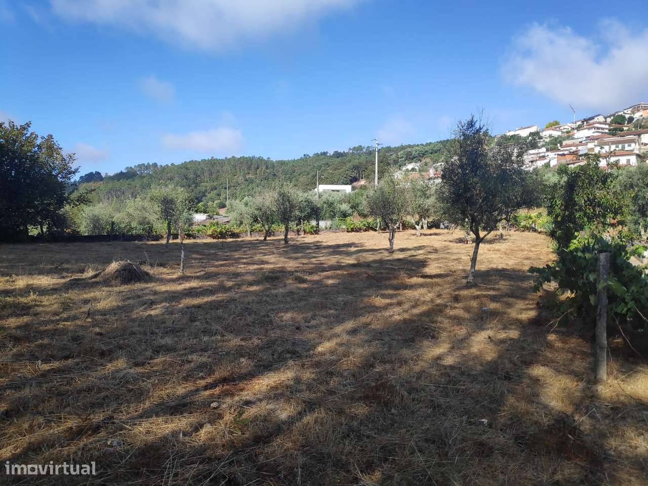 Excelente Terreno para Construção - Grande imagem: 4/8