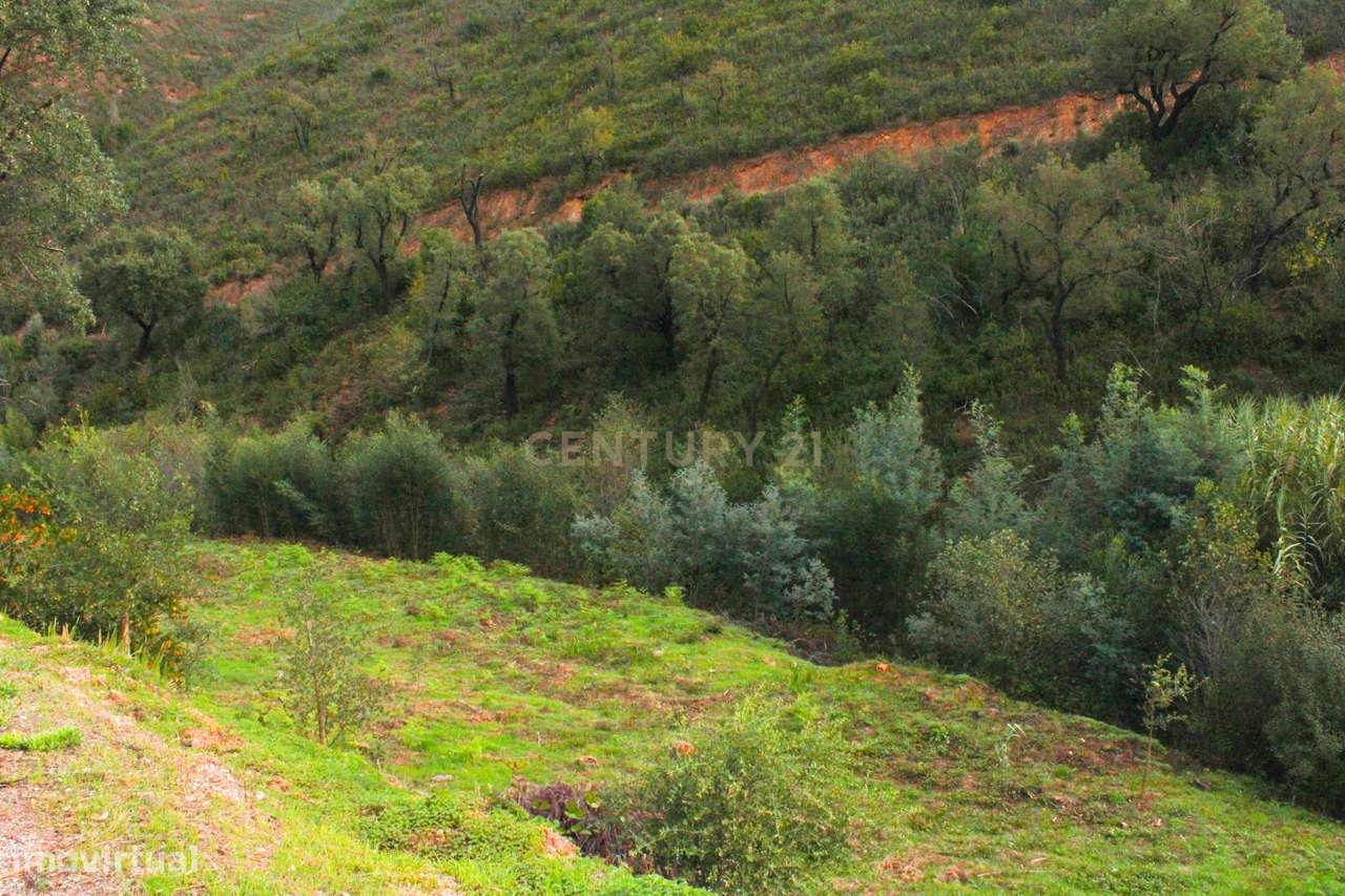 Terreno rústico JUNTO A RIBEIRA na Perna da Negra, a 15 minutos do cen - Grande imagem: 4/22