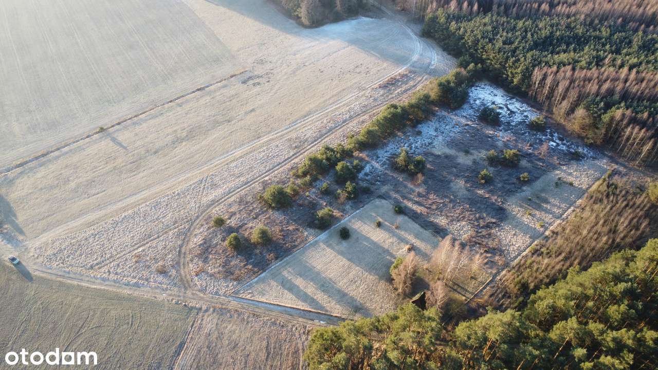 Działka rolna przy lesie  9893 m², Postolin k. Milicza-7