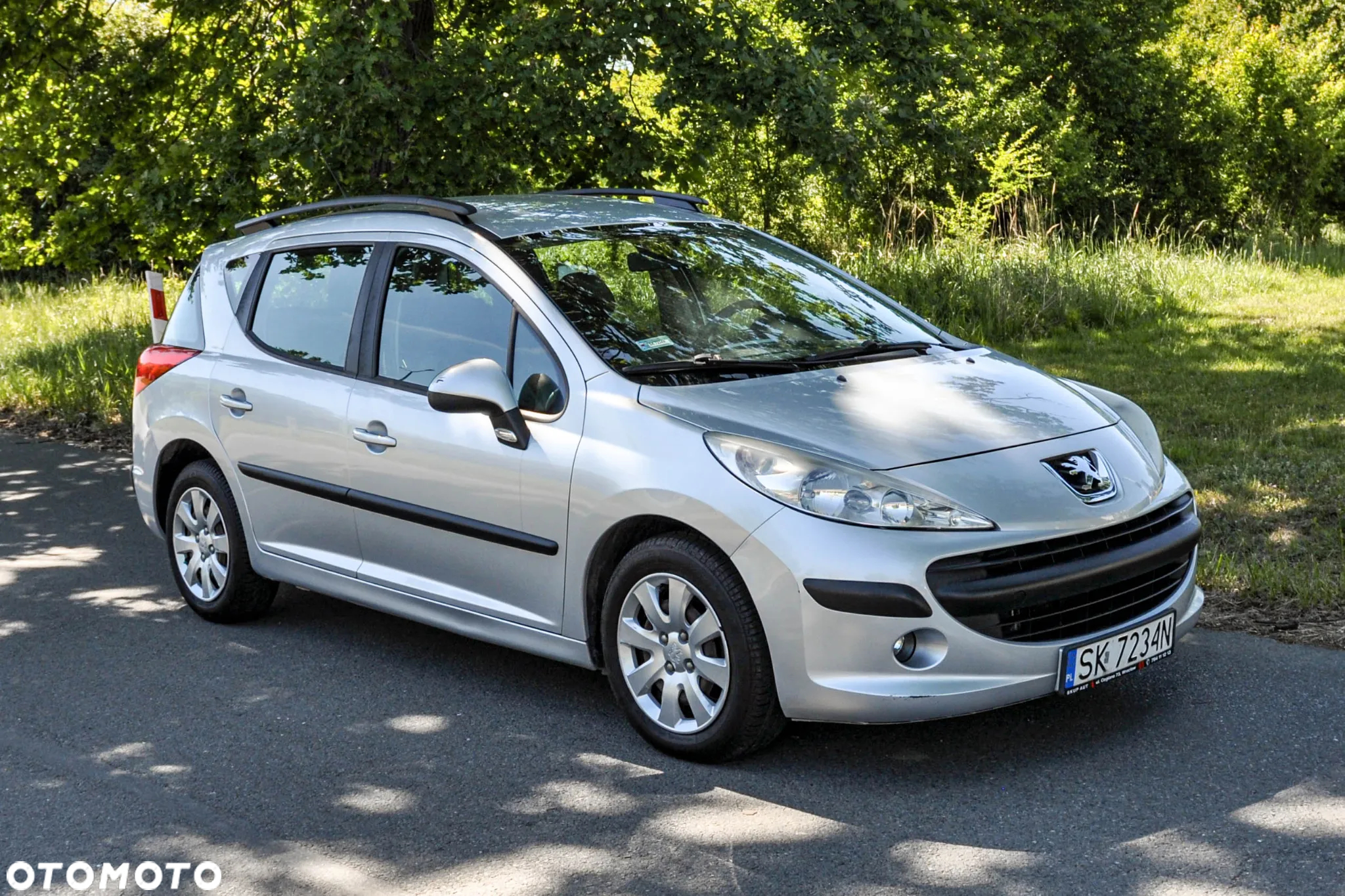 Peugeot 207 - 6