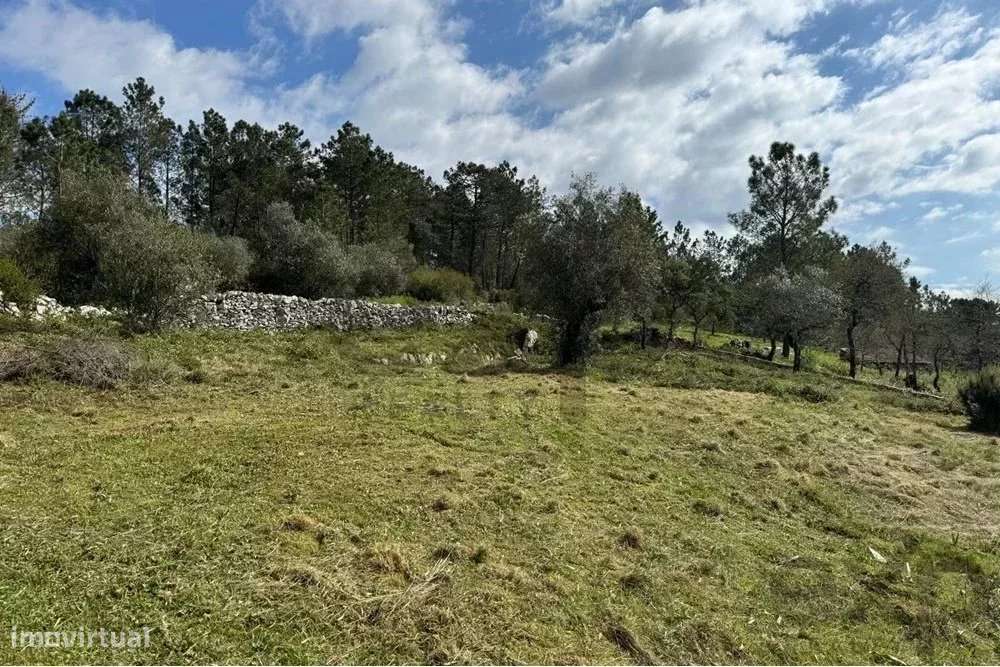 TERRENO DE 1440 m2 COM PROJETO EM ALQUEIDÃO DA SERRA. PORTO DE MÓS - Grande imagem: 4/26