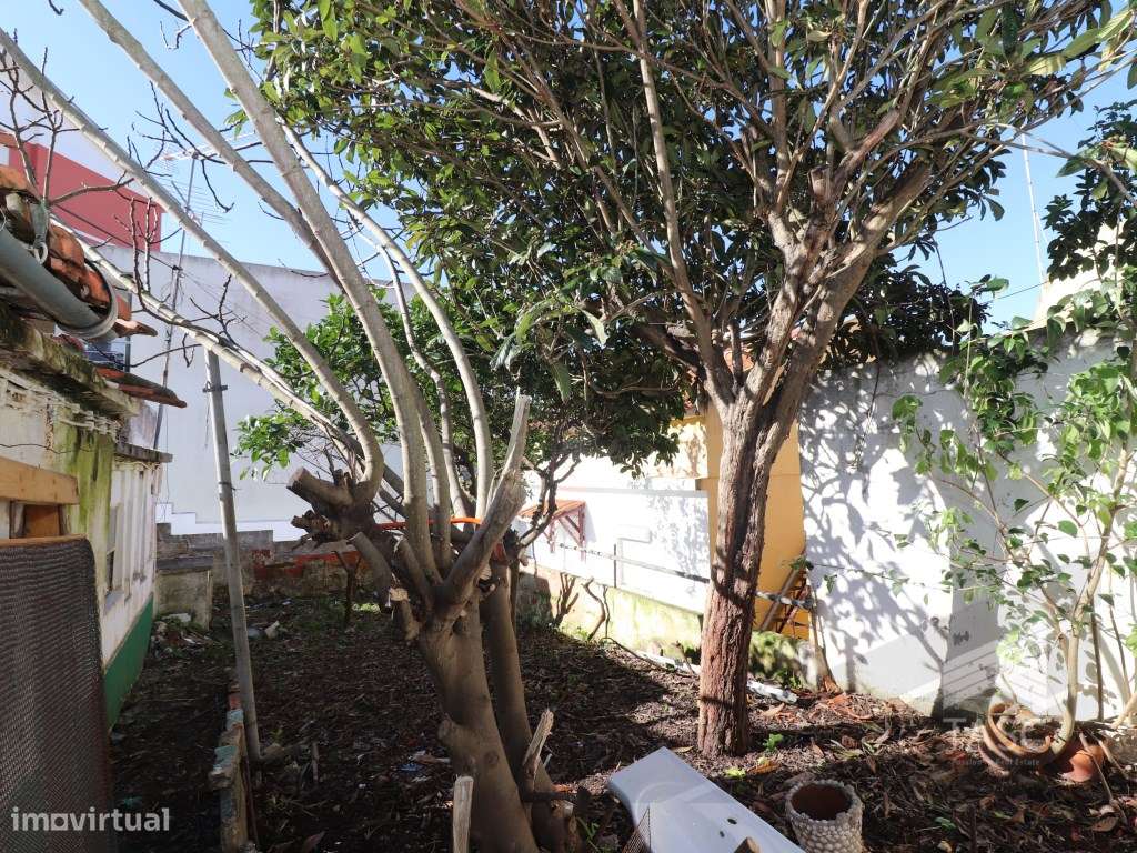 Moradias para reconstrução nas Fontainhas-22