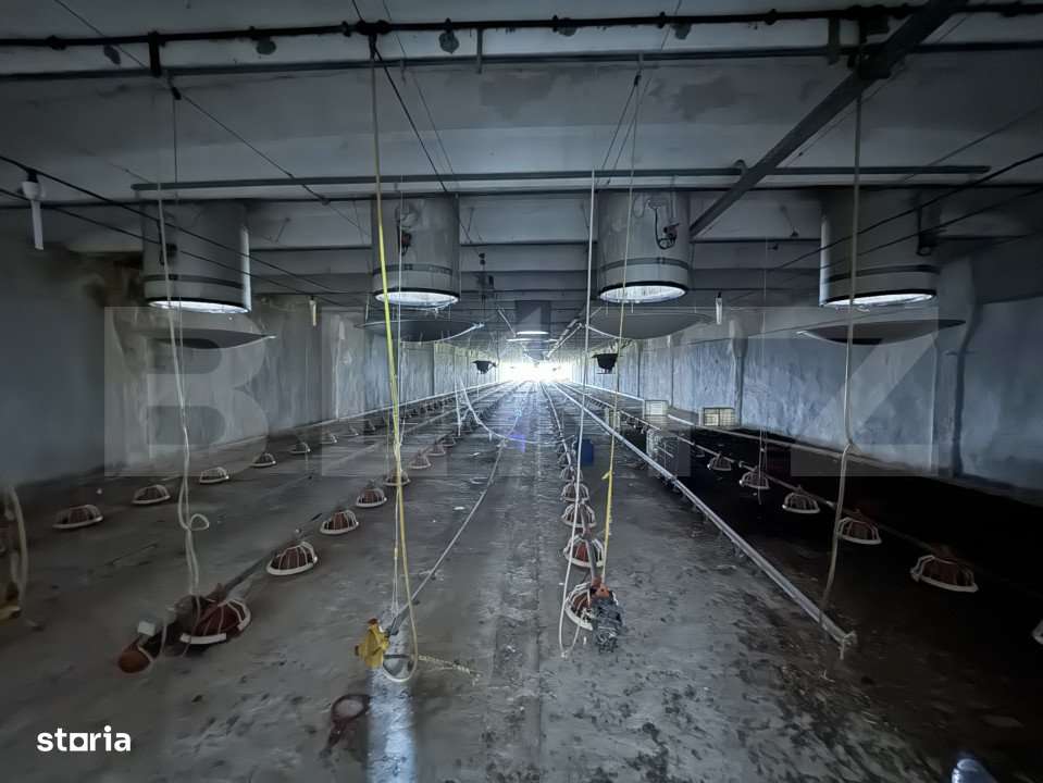 Spatiu industrial, 28.100mp, zona Bucovat - Imagine principală: 2/19