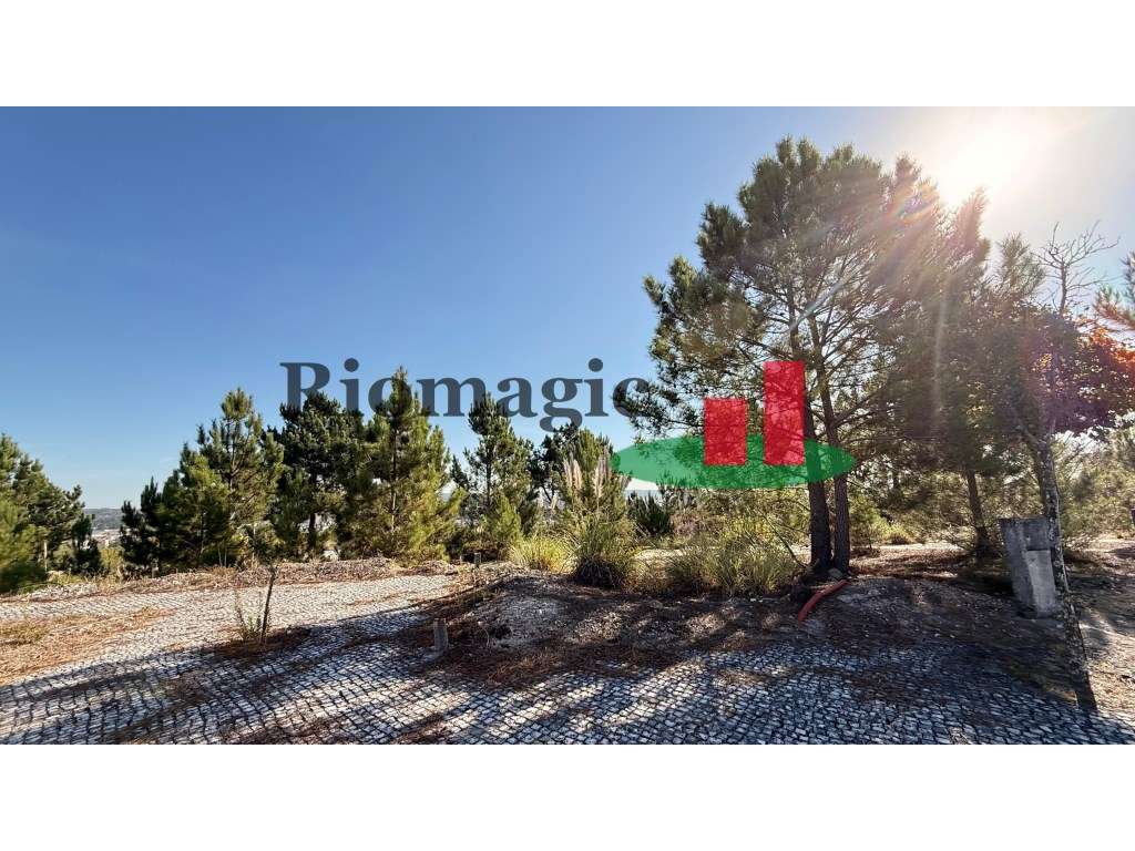 Lote Urbano Fonte Lagoa***RIOMAGIC*** - Grande imagem: 4/14