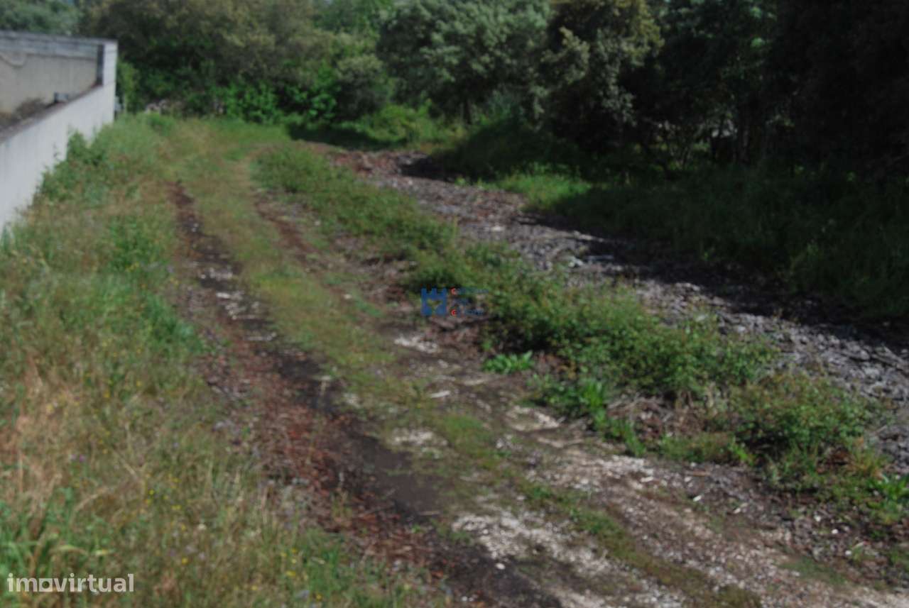 Terreno para construção em Fatima no lugar de Châ - Grande imagem: 5/20