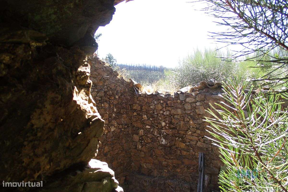 Imóvel Rural - Grande imagem: 5/19