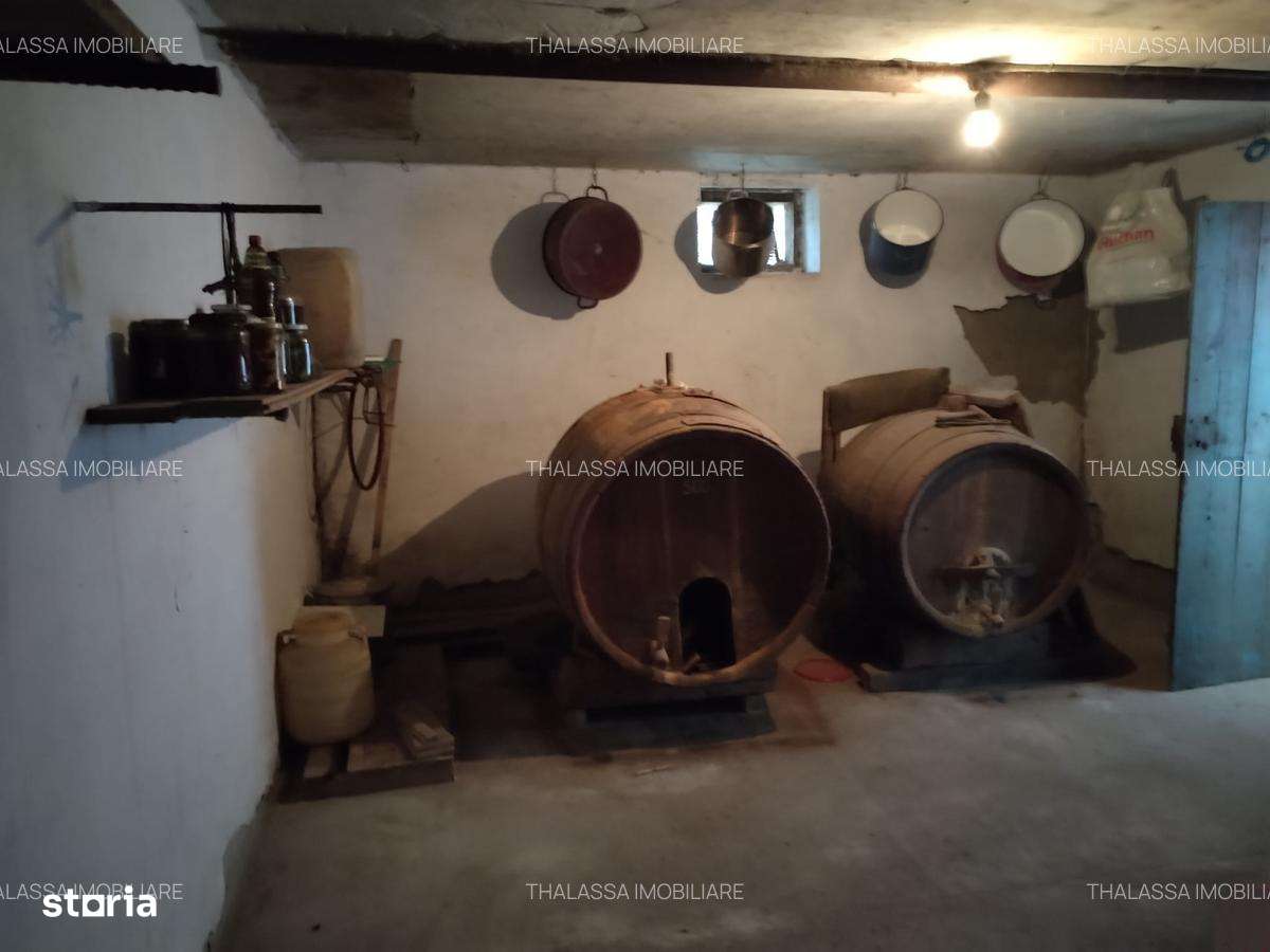 Casa si gospodarie Segarcea-6
