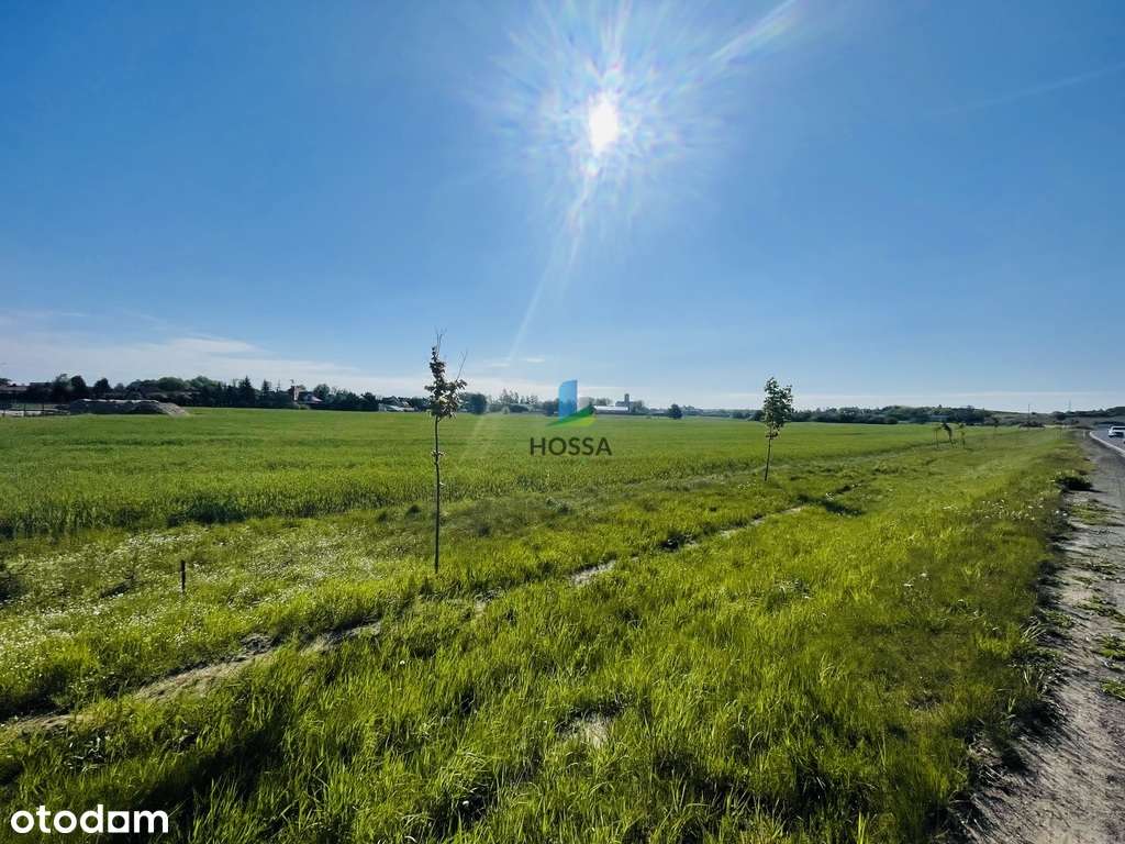 Kompleks działek w Litwinkach - Pełny obrazek: 4/8