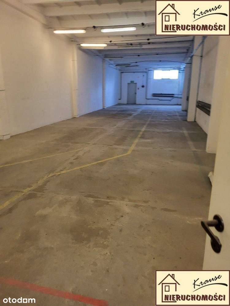 biuro -magazyn 180 m2, rampa - Pełny obrazek: 4/12