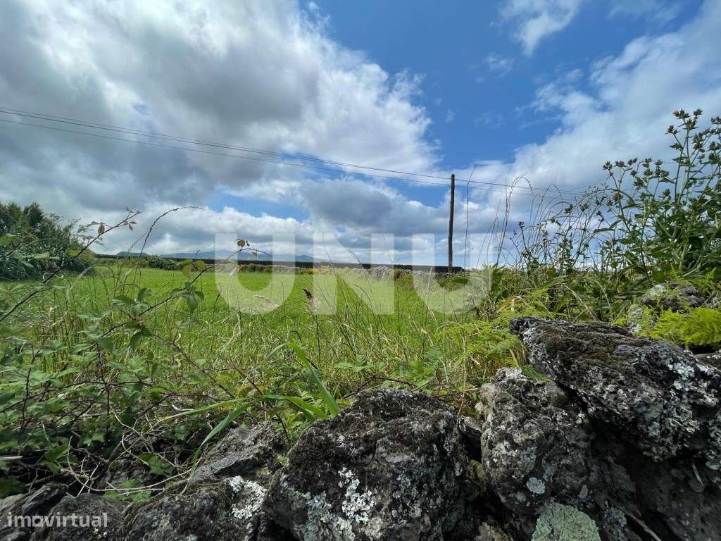 Terreno Rústico nas Calhetas, Ribeira Grande-9