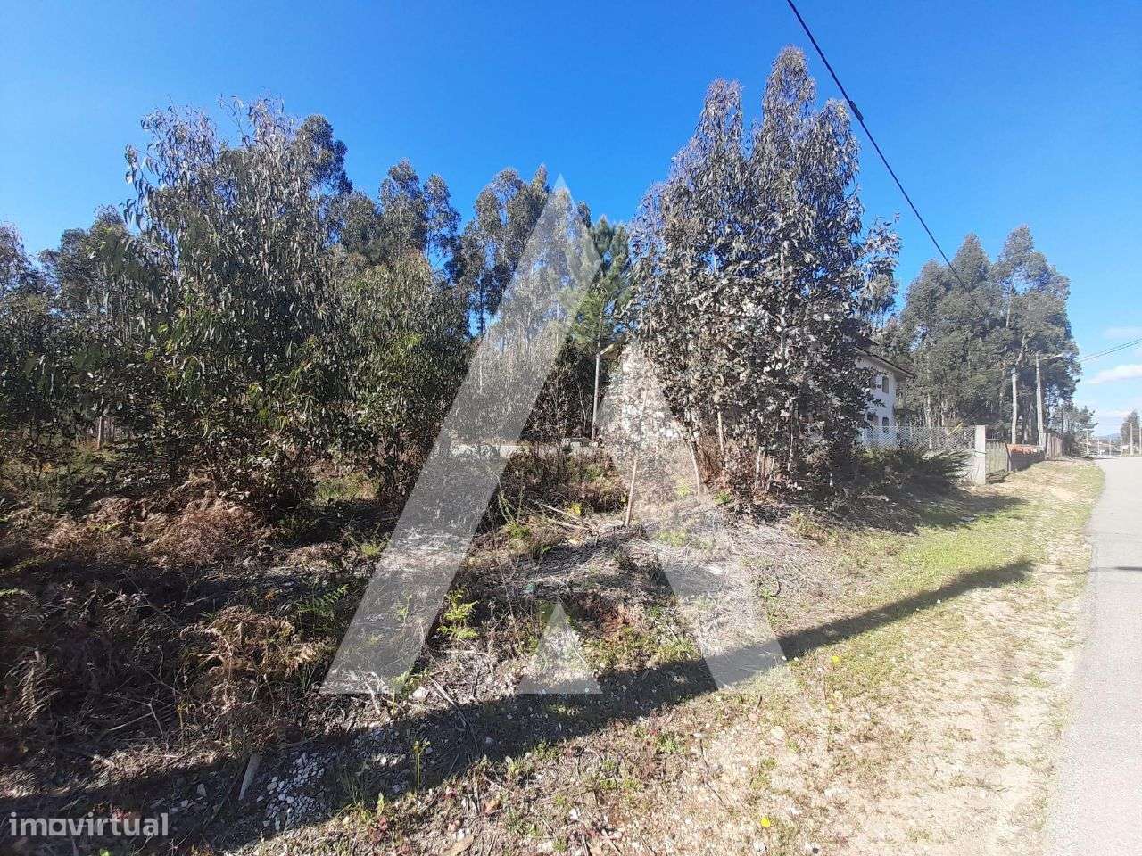 Terreno para construção em Vale Domingos, Águeda - Grande imagem: 5/11