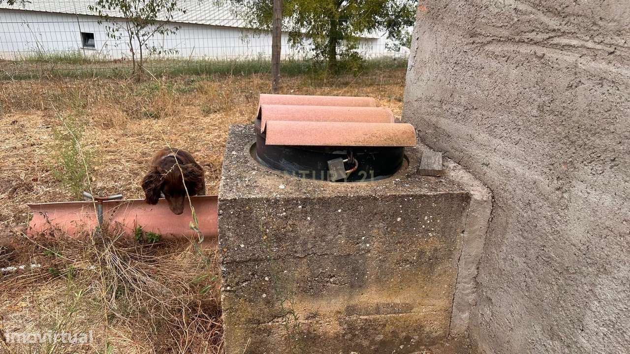Quinta em Trigaches — 1 hectare em comunhão com a natureza-22