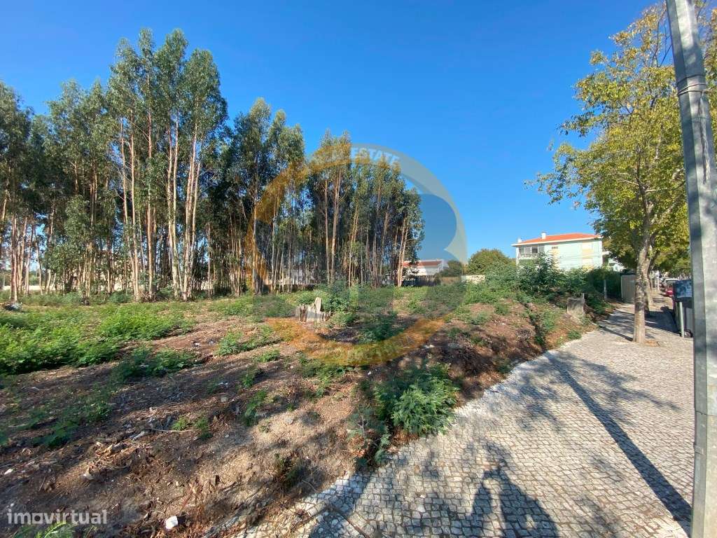 LOTE DE TERRENO PARA CONSTRUÇÃO DE UM PRÉDIO - Grande imagem: 1/8