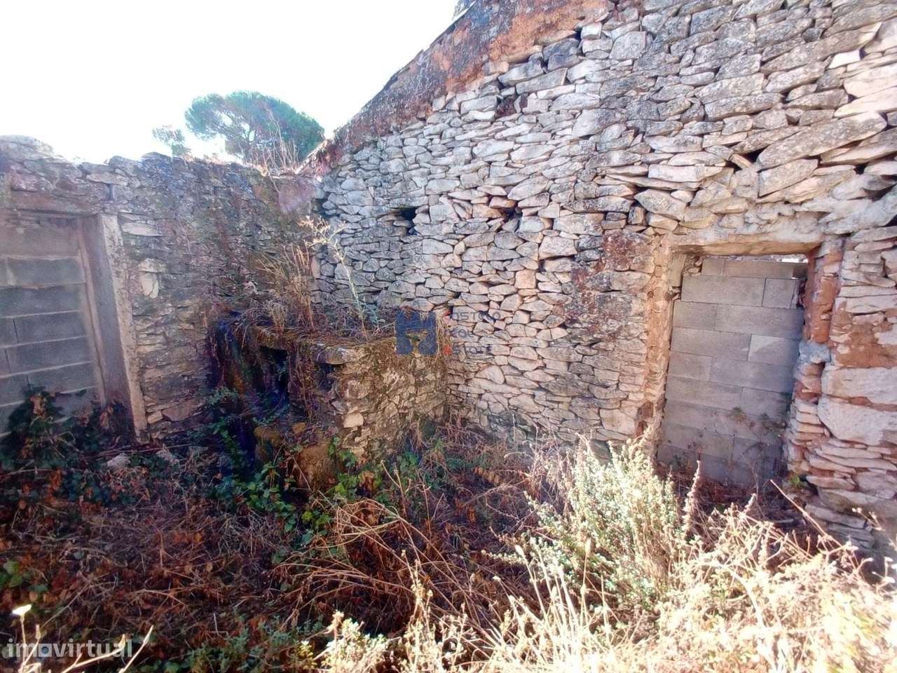 Moradia em ruina com terreno em Maxieira-16