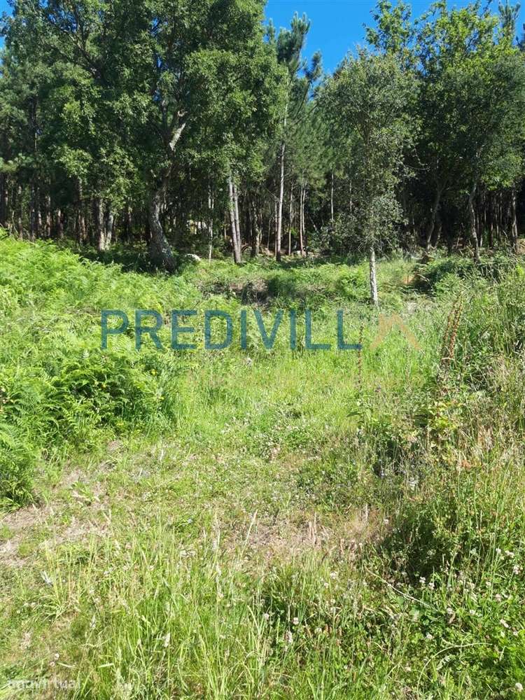 Terreno Rústico  Venda em Antas,Esposende - Grande imagem: 5/16