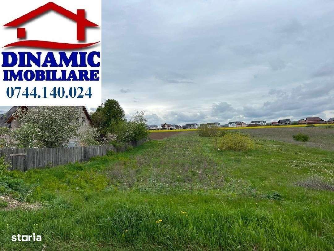 Teren 5000 mp zona Fermelor, str. Plantelor - Imagine principală: 2/2
